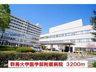 アウローラⅠ・Ⅱ（前橋市総社町総社）の物件外観写真